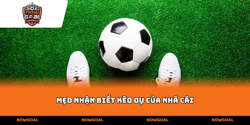 Mẹo nhận biết kèo dụ của nhà cái